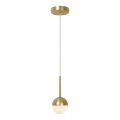 Nordlux - Pakabinamas šviestuvas CONTINA ant laido 1xG9/5W/230V, žalvarinis