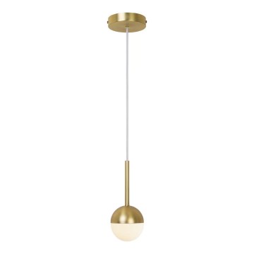 Nordlux - Pakabinamas šviestuvas CONTINA ant laido 1xG9/5W/230V, žalvarinis