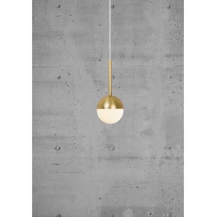 Nordlux - Pakabinamas šviestuvas CONTINA ant laido 1xG9/5W/230V, žalvarinis