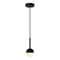 Nordlux - Pakabinamas šviestuvas CONTINA su laidu 1xG9/5W/230V juodas