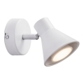 Nordlux - Sieninis šviestuvas EIK 1xGU10/35W/230V baltas