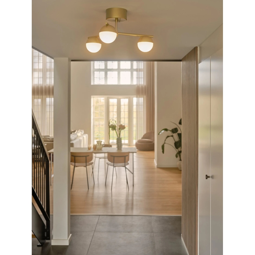 Nordlux - Tvirtinamas sietynas CONTINA 3xG9/5W/230V žalvaris