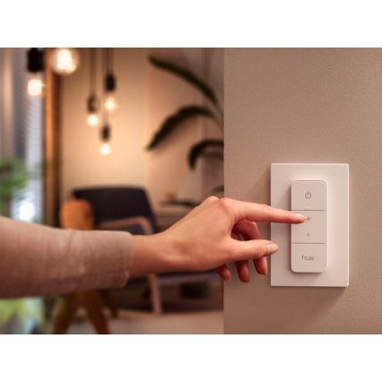 Nuotolinio valdymo pultas Philips Hue SWITCH V2 1xCR2032