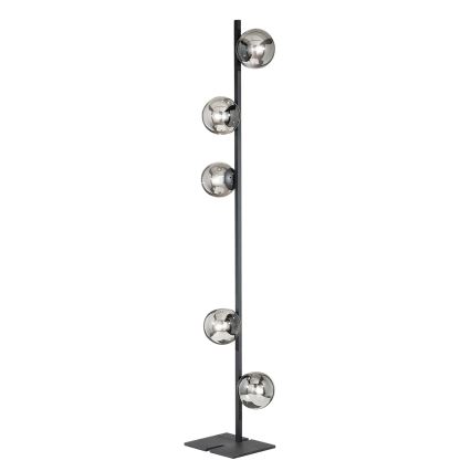 Ondaluce - Toršeras MONILE 5xE14/10W/230V 170 cm juoda/dūminė juoda
