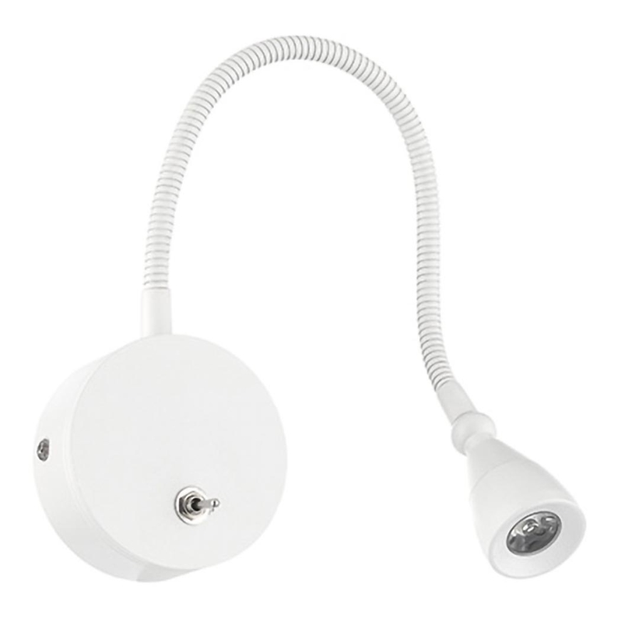 ONLI - LED Lanksti maža lempa LEXI LED/1W/230V 4000K balta