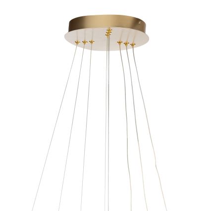 ONLI - LED liustra ant troselio NOELIA LED/40W/230V auksinė