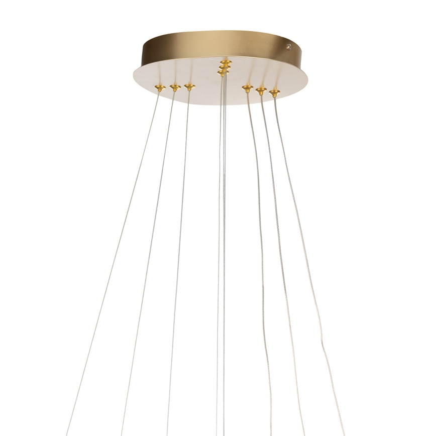 ONLI - LED liustra ant troselio NOELIA LED/40W/230V auksinė