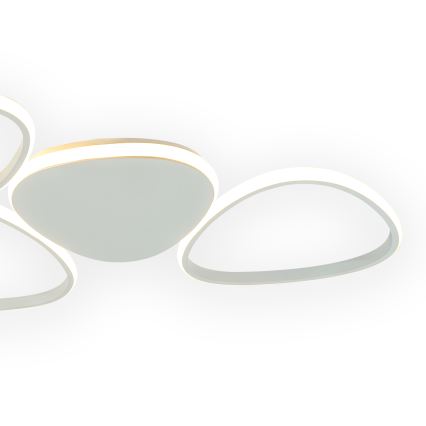 ONLI - LED lubinis šviestuvas ROMEO LED/48W/230V 4000K balta