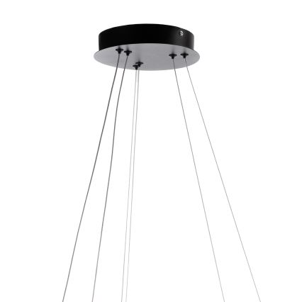 ONLI - LED pakabinamas šviestuvas ant laido NOELIA LED/30W/230V juodas