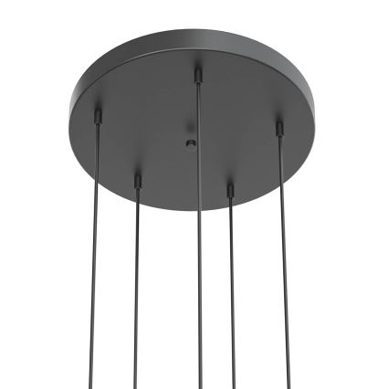 Open Design OR85518 - LED pakabinamas šviestuvas ant laido BOLICINA 5xLED/5W/230V auksinė/juoda