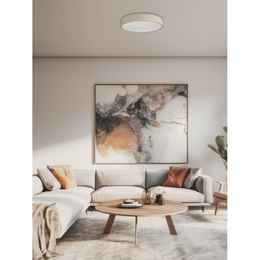 Open Design OR85969 - CEDRONE LED lubų šviestuvas, 25 W, 230 V, 3000/4500/6500 K, Ø 30 cm, bėžinė