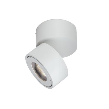 LED Pritemdomas vonia Akcentinis šviestuvas HARVEY LED/15W/230V IP65 balta