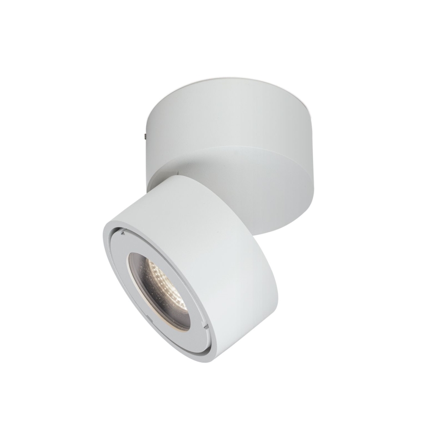 LED Pritemdomas vonia Akcentinis šviestuvas HARVEY LED/15W/230V IP65 balta
