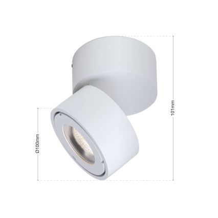 LED Pritemdomas vonia Akcentinis šviestuvas HARVEY LED/15W/230V IP65 balta