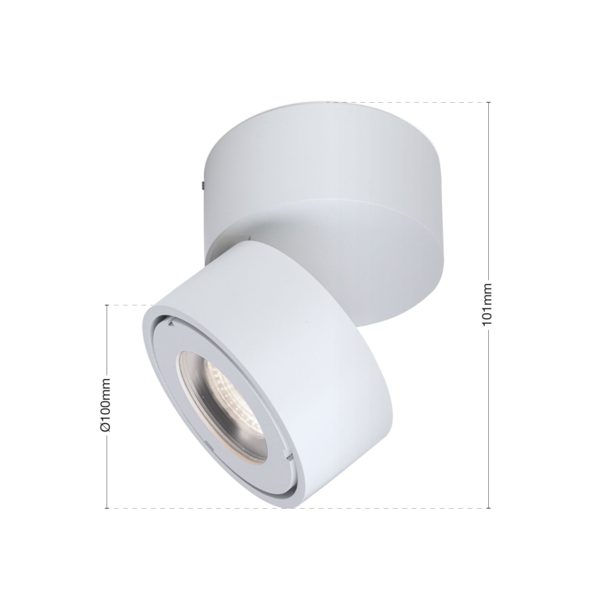 LED Pritemdomas vonia Akcentinis šviestuvas HARVEY LED/15W/230V IP65 balta