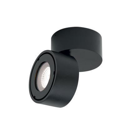 LED Pritemdomas vonia Akcentinis šviestuvas HARVEY LED/15W/230V IP65 juoda