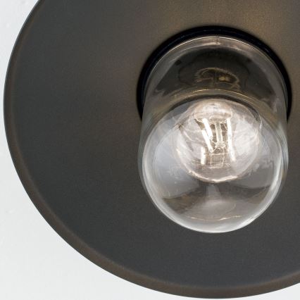 Lauko prigludęs šviestuvas EDWARD 1xE27/60W/230V IP44 antracitas