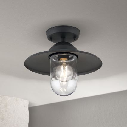 Lauko pritvirtinamas sietynas EDWARD 1xE27/60W/230V IP44 juoda