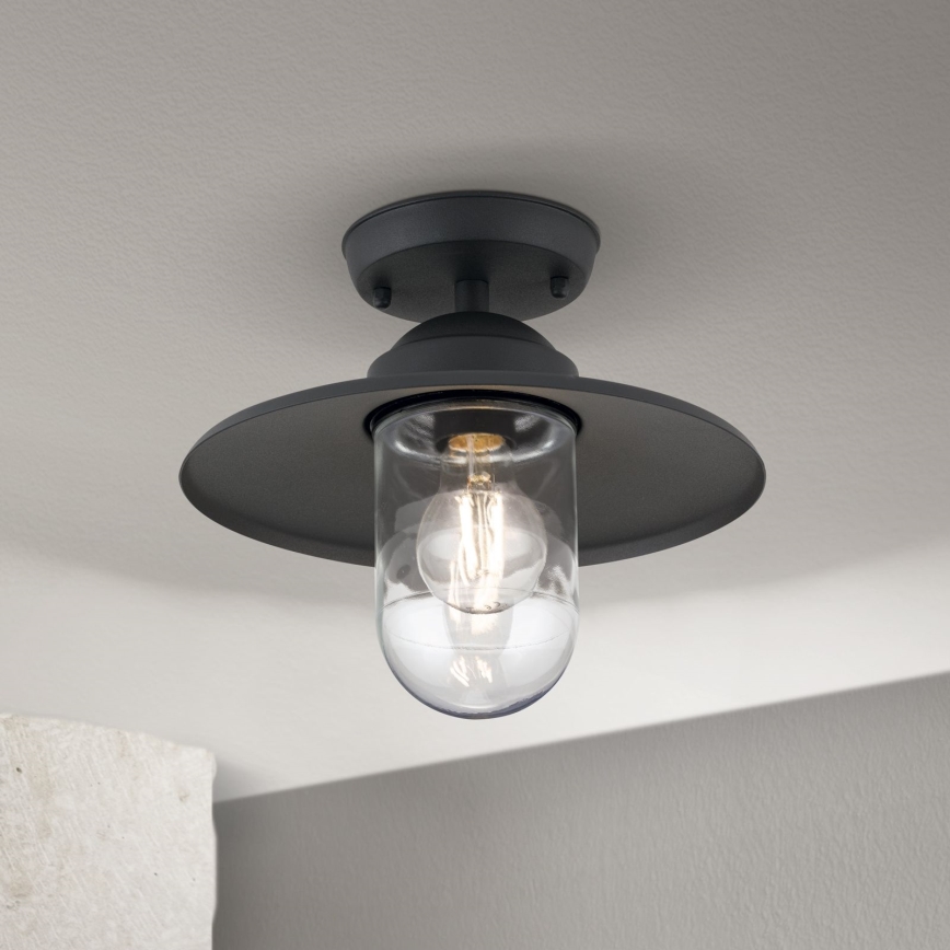 Lauko pritvirtinamas sietynas EDWARD 1xE27/60W/230V IP44 juoda