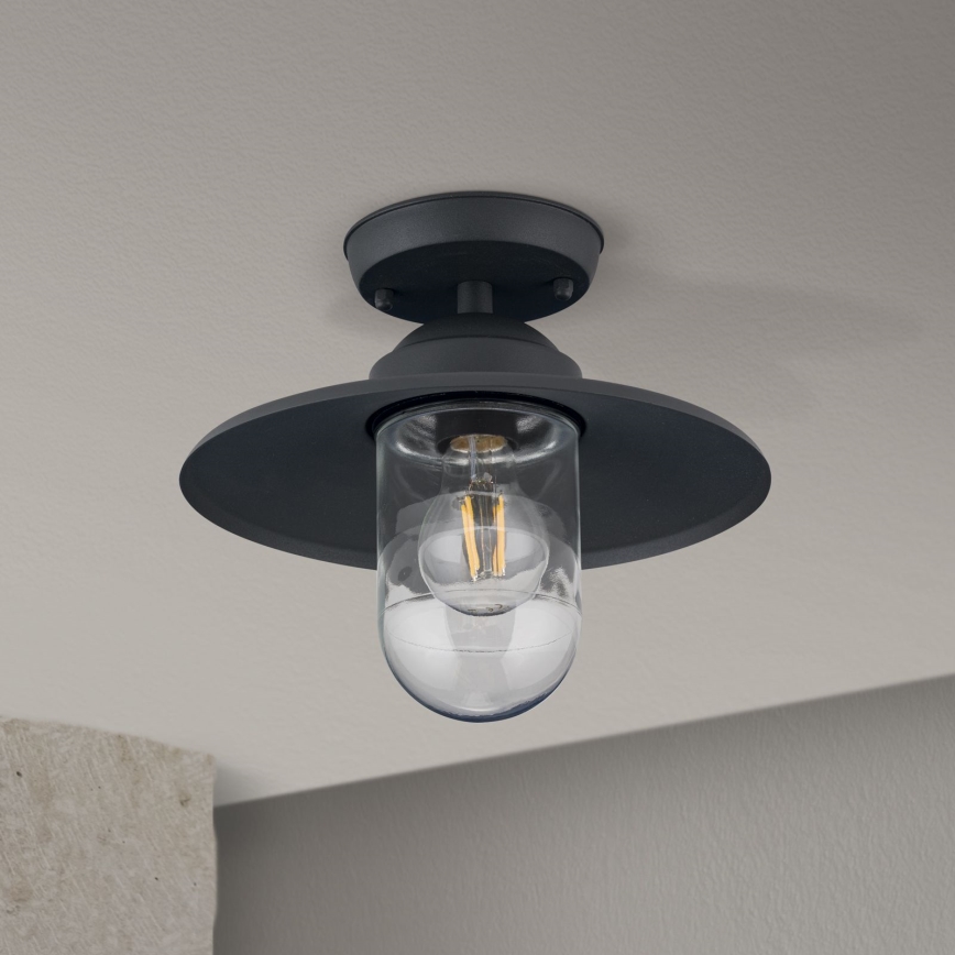 Lauko pritvirtinamas sietynas EDWARD 1xE27/60W/230V IP44 juoda