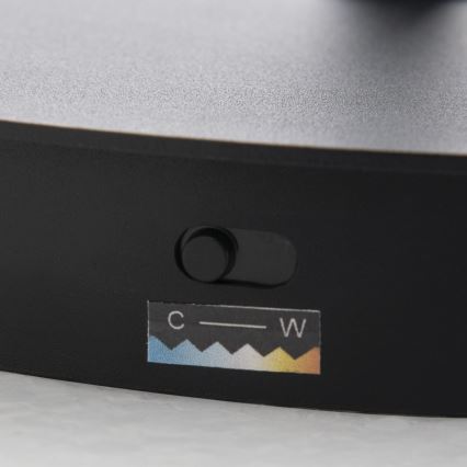 Reguliuojamas LED toršeras KOLK LED/40W/230V 2700/4000K juodas