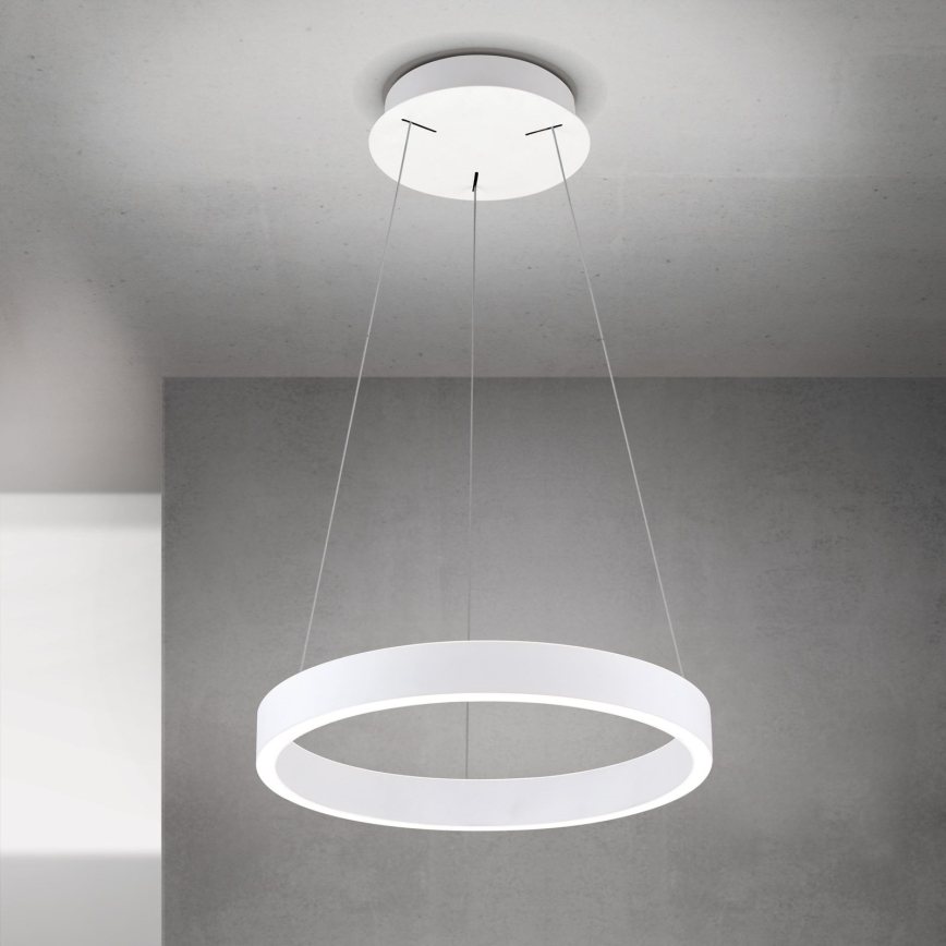 dimeriuojamas LED pakabinamas šviestuvas ant laido KOLK LED/40W/230V 2700/3000/4000K skersmuo 40 cm baltas