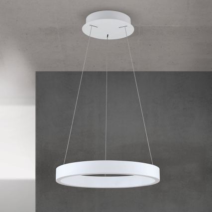 dimeriuojamas LED pakabinamas šviestuvas ant laido KOLK LED/40W/230V 2700/3000/4000K skersmuo 40 cm baltas