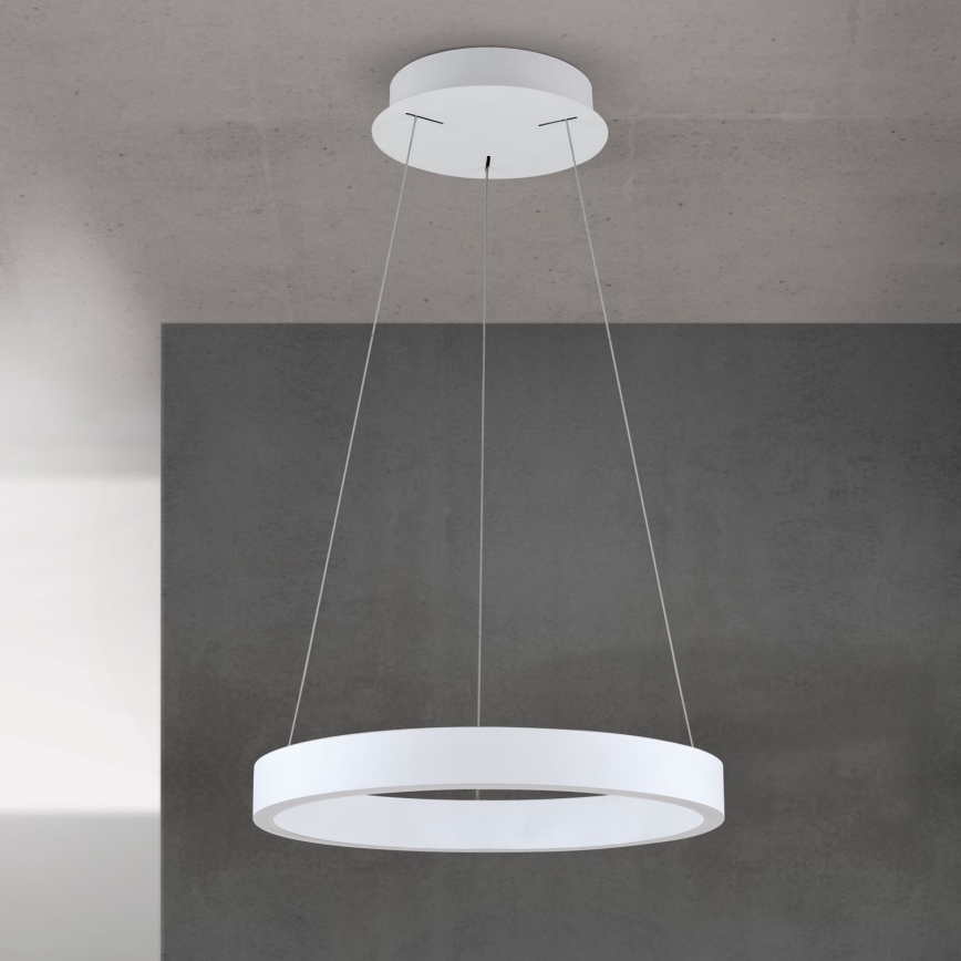dimeriuojamas LED pakabinamas šviestuvas ant laido KOLK LED/40W/230V 2700/3000/4000K skersmuo 40 cm baltas