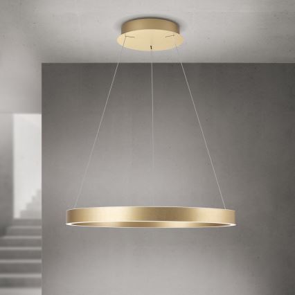dimeriuojamas LED pakabinamas šviestuvas ant laido KOLK LED/60W/230V 2700/3000/4000K skersmuo 60 cm auksinis