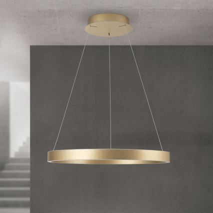 dimeriuojamas LED pakabinamas šviestuvas ant laido KOLK LED/60W/230V 2700/3000/4000K skersmuo 60 cm auksinis