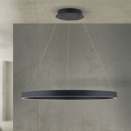dimeriuojamas LED pakabinamas šviestuvas ant laido KOLK LED/80W/230V 2700/3000/4000K skersmuo 80 cm juodas