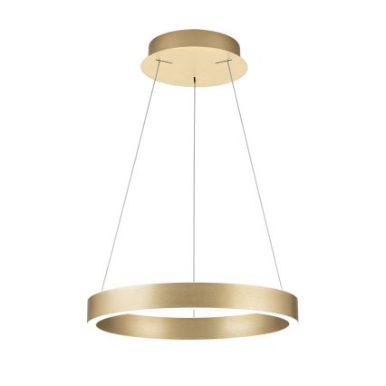 dimeriuojama LED liustra ant troselio KOLK LED/40W/230V 2700/3000/4000K Ø 40 cm auksinė