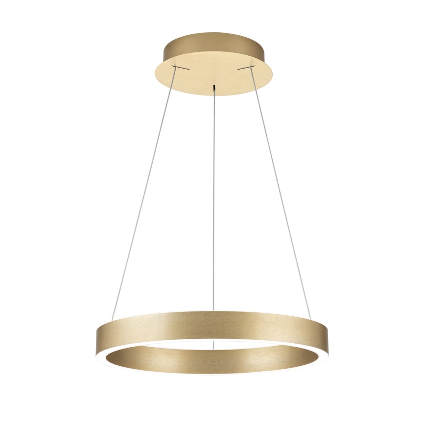 dimeriuojama LED liustra ant troselio KOLK LED/40W/230V 2700/3000/4000K Ø 40 cm auksinė