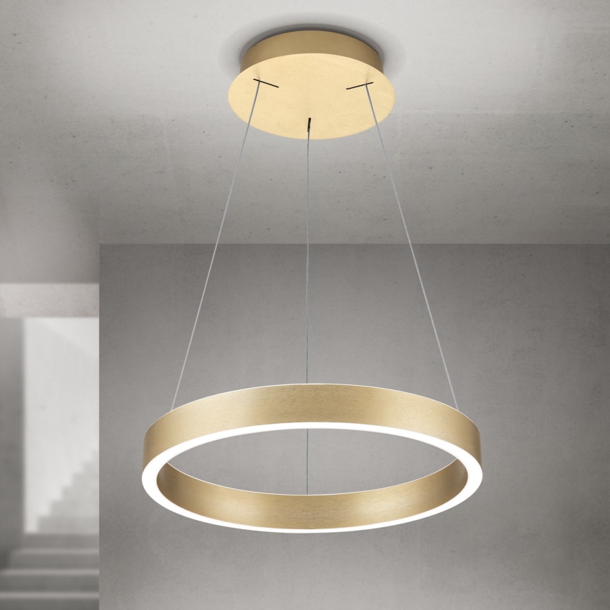 dimeriuojama LED liustra ant troselio KOLK LED/40W/230V 2700/3000/4000K Ø 40 cm auksinė