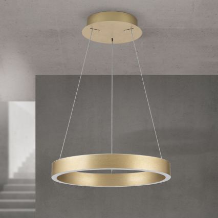 dimeriuojama LED liustra ant troselio KOLK LED/40W/230V 2700/3000/4000K Ø 40 cm auksinė