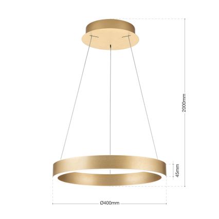 dimeriuojama LED liustra ant troselio KOLK LED/40W/230V 2700/3000/4000K Ø 40 cm auksinė