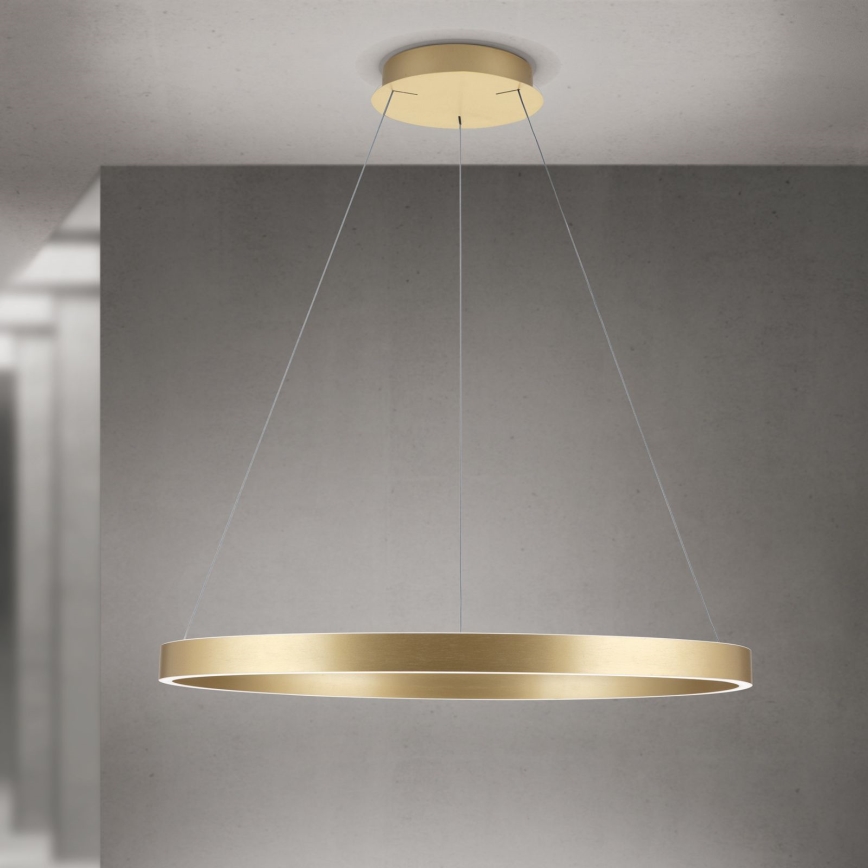 reguliuojama LED liustra ant laido KOLK LED/80W/230V 2700/3000/4000K Ø 80 cm auksinė