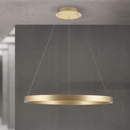 reguliuojama LED liustra ant laido KOLK LED/80W/230V 2700/3000/4000K Ø 80 cm auksinė