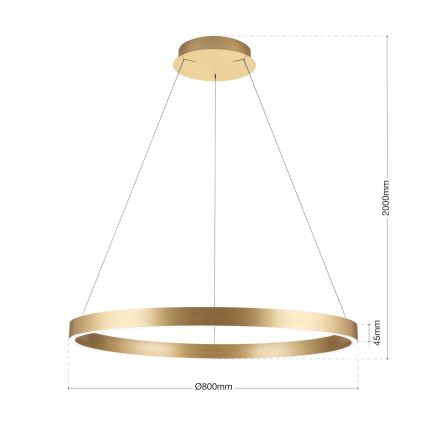 reguliuojama LED liustra ant laido KOLK LED/80W/230V 2700/3000/4000K Ø 80 cm auksinė