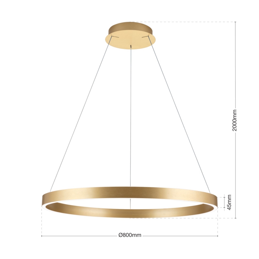 reguliuojama LED liustra ant laido KOLK LED/80W/230V 2700/3000/4000K Ø 80 cm auksinė