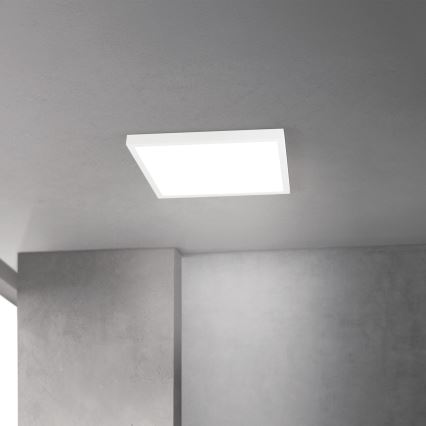 Dimeriuojamas LED lubinis šviestuvas DISC LED/30W/230V 2700/3000/4000K 39x39 cm baltas