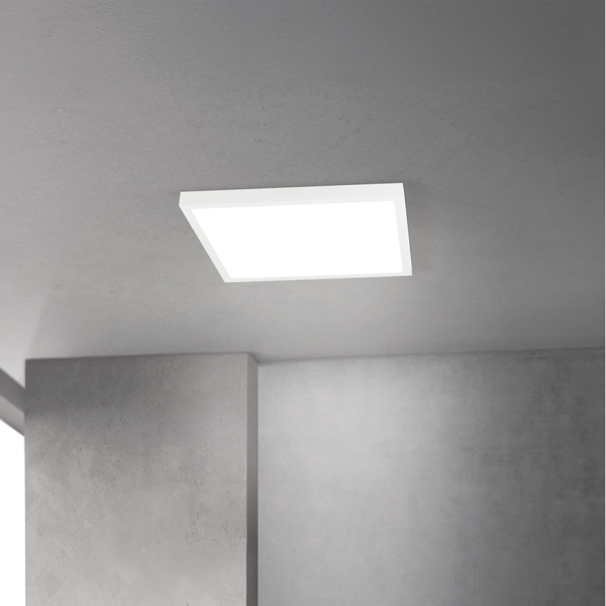 Dimeriuojamas LED lubinis šviestuvas DISC LED/30W/230V 2700/3000/4000K 39x39 cm baltas