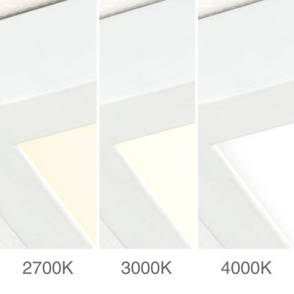 Dimeriuojamas LED lubinis šviestuvas DISC LED/30W/230V 2700/3000/4000K 39x39 cm baltas