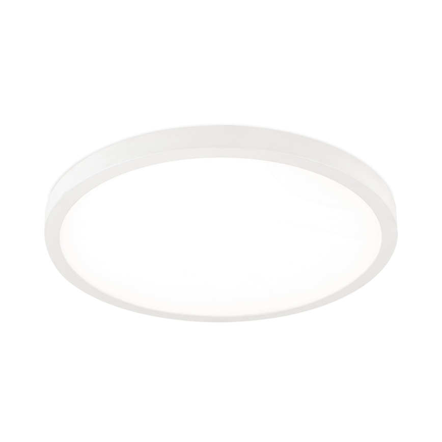 Reguliuojamas LED lubinis šviestuvas DISC, 30 W, 230 V, 2700/3000/4000 K, Ø 40 cm, baltas