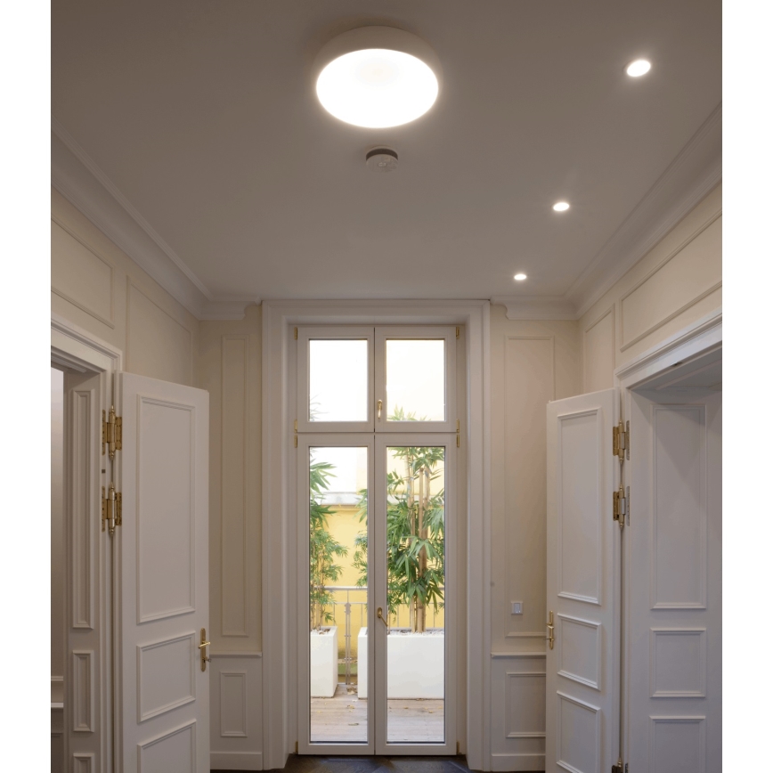 LED Pritemdomas lubinis šviestuvas VENUS LED/50W/230V diametras 61 cm balta