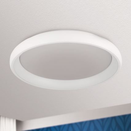 LED Pritemdomas lubinis šviestuvas VENUS LED/50W/230V diametras 61 cm balta