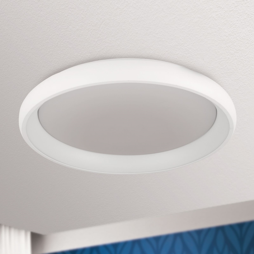 LED Pritemdomas lubinis šviestuvas VENUS LED/50W/230V diametras 61 cm balta