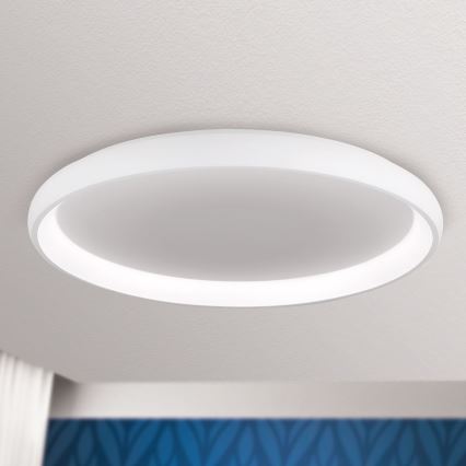 LED Pritemdomas lubinis šviestuvas VENUS LED/85W/230V diametras 81 cm balta