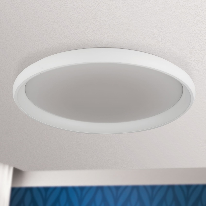 LED Pritemdomas lubinis šviestuvas VENUS LED/85W/230V diametras 81 cm balta