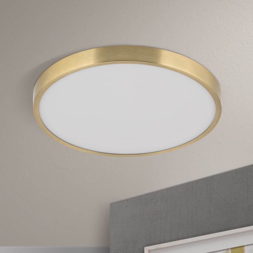 LED lubinis šviestuvas BULLY LED/28W/230V diametras 28 cm auksas